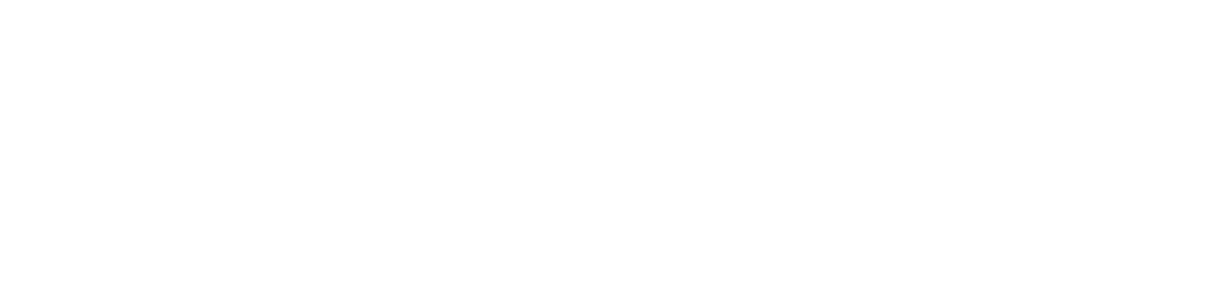 Knight Protection and Investigation Services